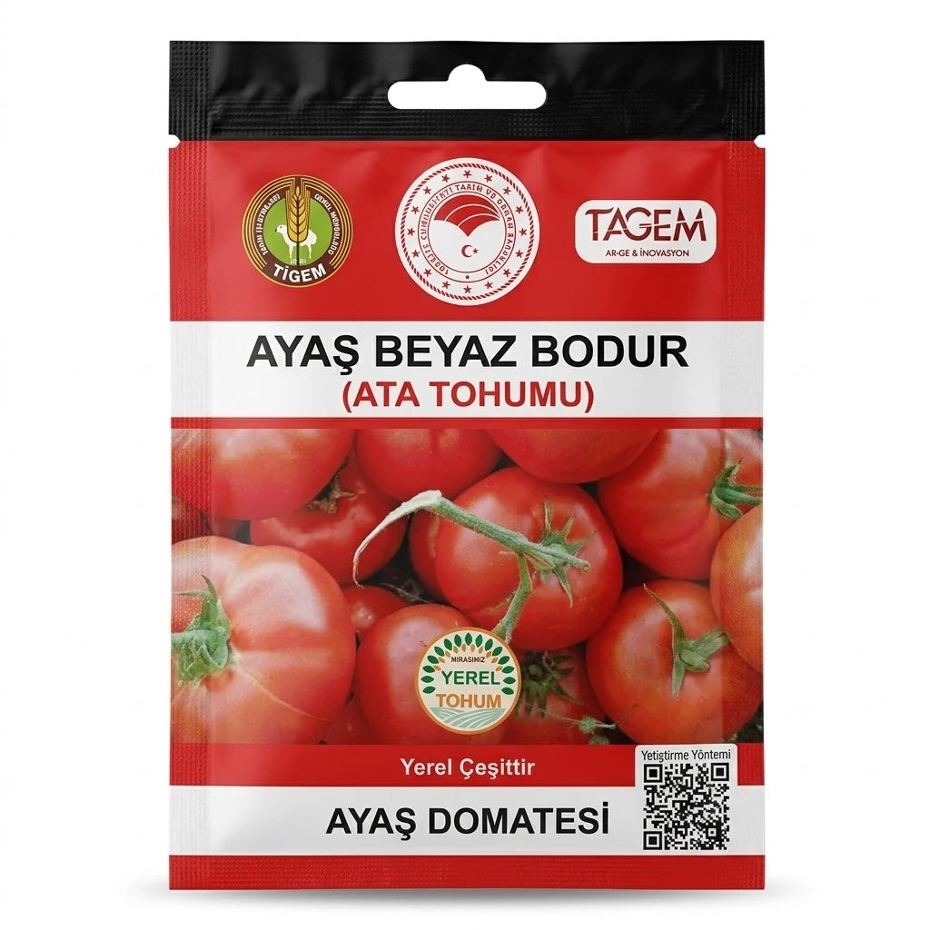 TAGEM Ayaş beyaz bodur domates ata tohumu paketi – dalında salkım hâlinde parlak kırmızı domatesler görseli, kırmızı zeminli kilitli poşet