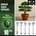 Bonsai için 10 litrelik saksı toprağı paketi – lav taşı ve perlitli drenaj karışımı