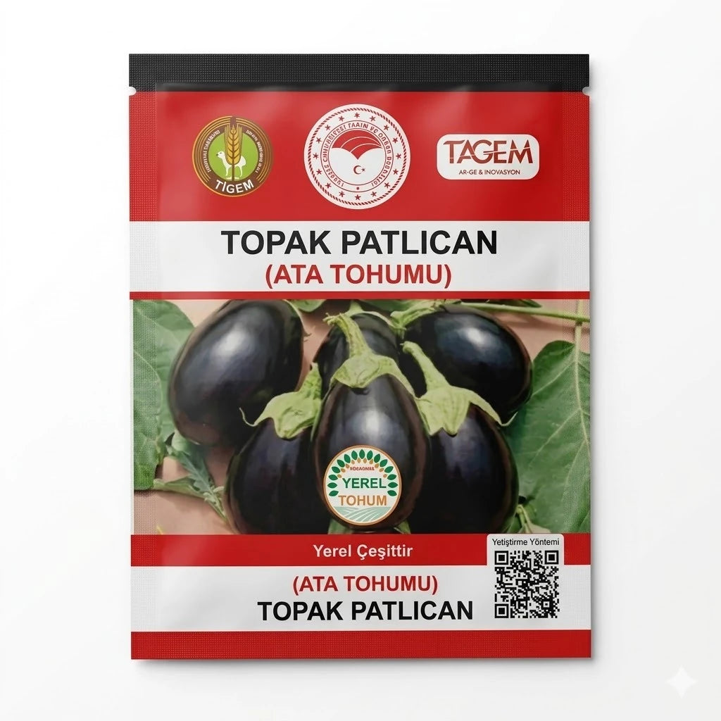 TAGEM Topak patlıcan ata tohumu paketi – dalında duran yuvarlak, parlak siyah kabuklu patlıcanlar görseli, kırmızı zeminli kilitli poşet