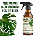 EverGreen Pro yeşil yapraklı salon bitkisi besini – 500 ml sprey şişesi