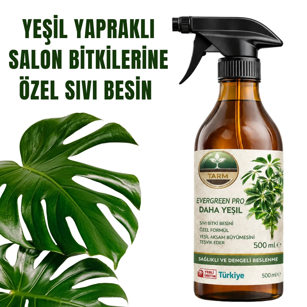 EverGreen Pro yeşil yapraklı salon bitkisi besini – 500 ml sprey şişesi