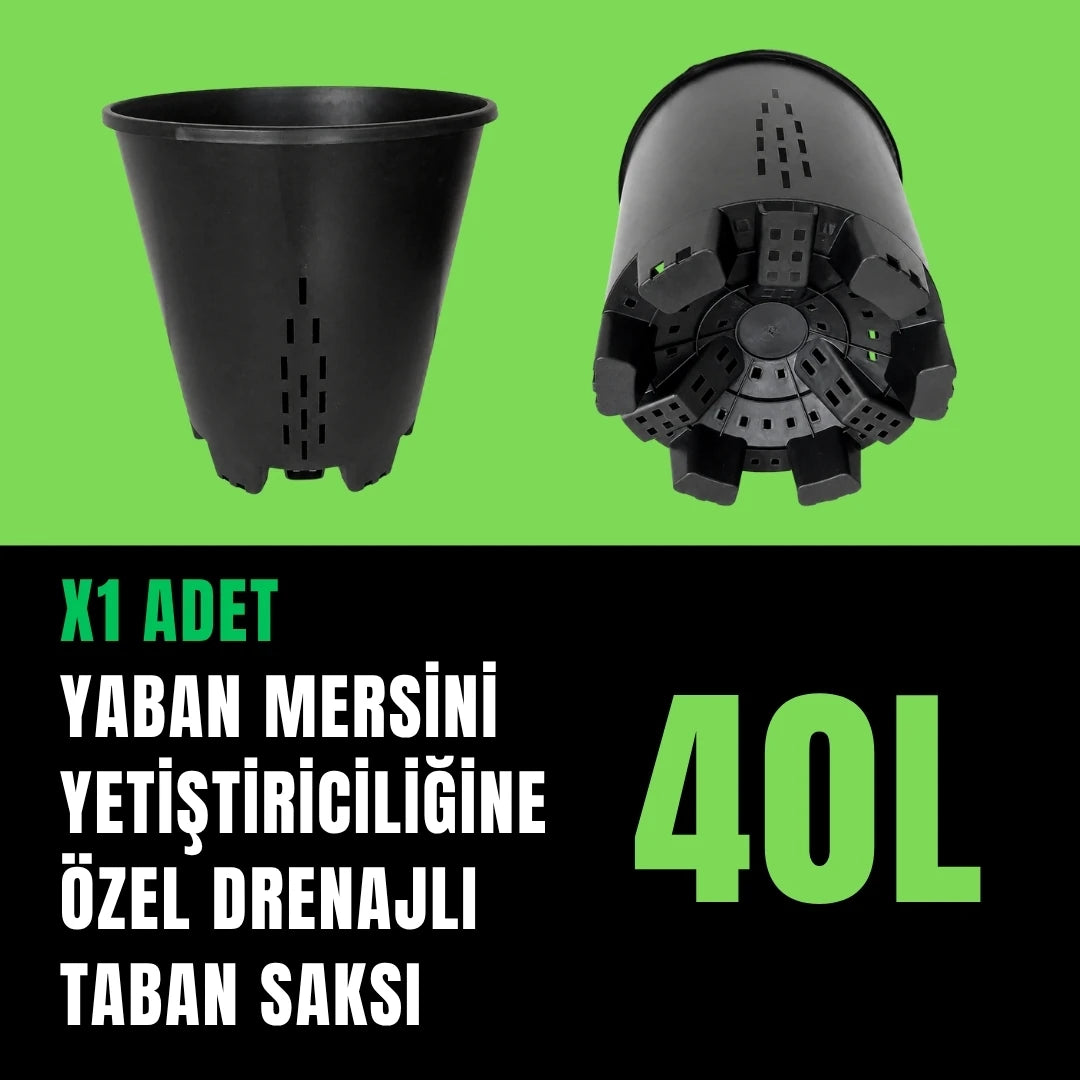 Yaban Mersini Torf ve Saksı Seti – 40 L Torf + 40 L Özel Drenajlı Saksı