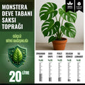 Monstera (deve tabanı) için 20 litrelik özel toprak karışımı paketi