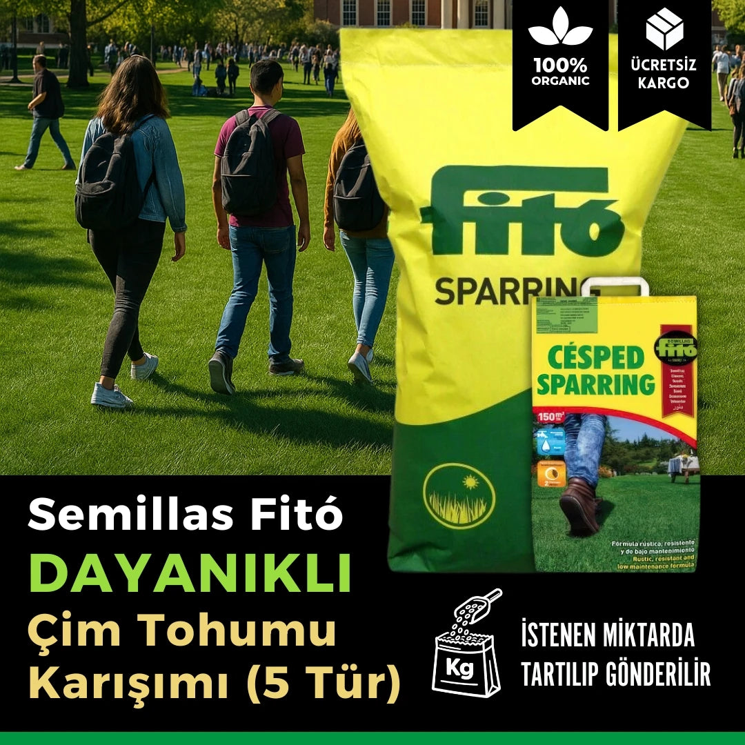 Semillas Fitó dayanıklı ve düşük bakımlı ithal çim tohumu – 5 türlü karışım