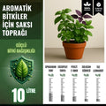 Aromatik bitkiler için 10 litrelik saksı toprağı paketi – fesleğen, nane ve maydanoz