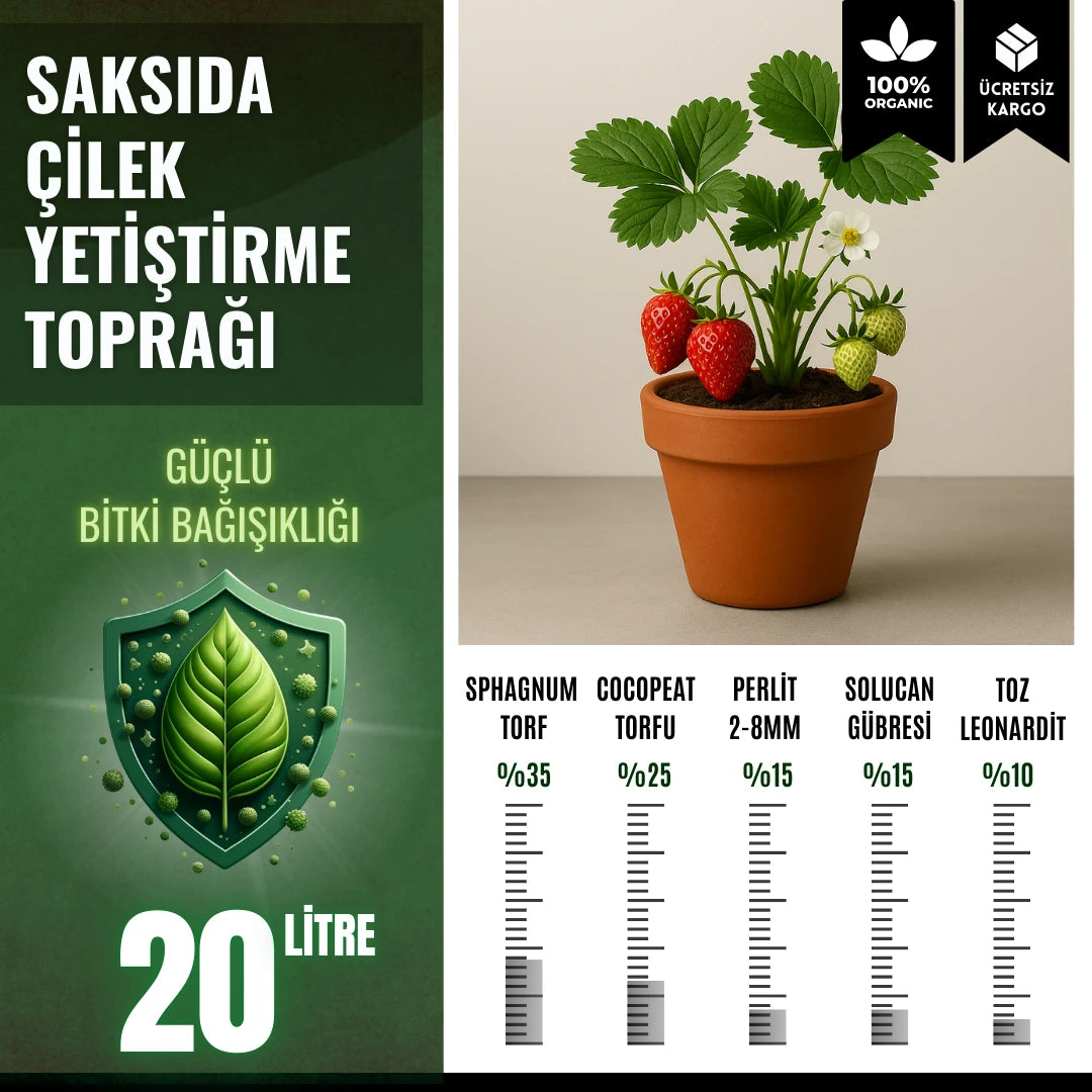 Saksıda çilek yetiştirme toprağı 20 litre – balkon ve dikey sistem karışımı