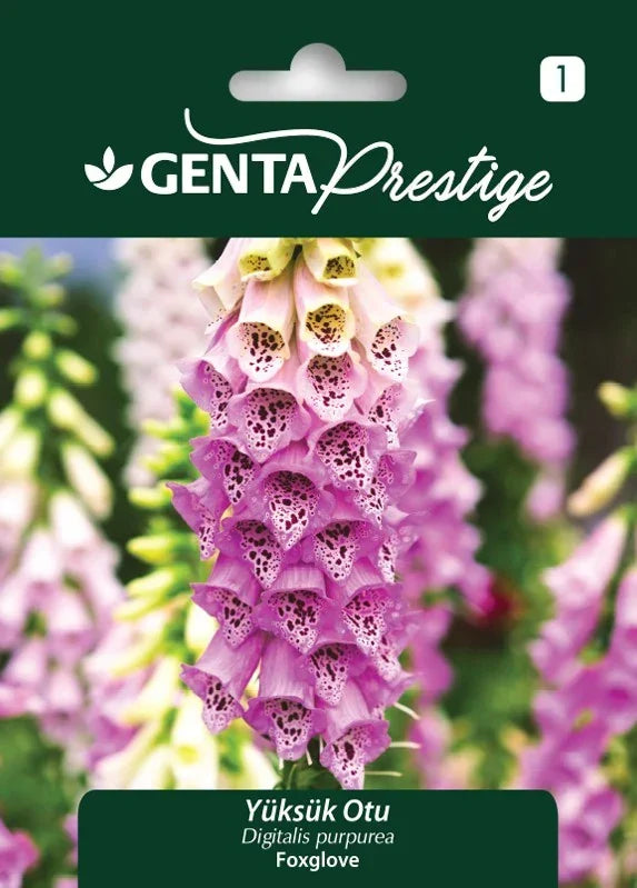 Genta Yüksük Otu Tohumu (Digitalis purpurea – Foxglove) – Uzun Boylu, Renkli Çiçekli Bahçe Bitkisi - ambalajlı tohum ürünü görseli