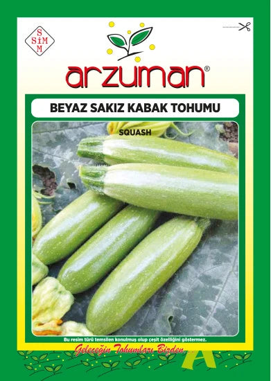 Arzuman beyaz sakız kabak tohumu paketi – yan yana dizilmiş açık yeşil, kısa ve tombul taze sakız kabakları görseli