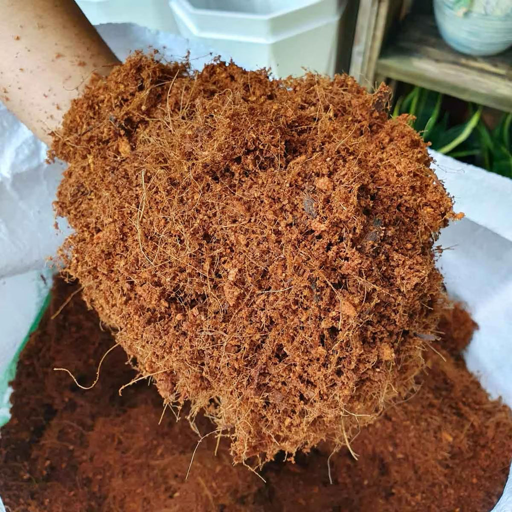 Sıkıştırılmış Cocopeat (Kokopit) Hindistan Cevizi Torfu Blok 4-5Kg (65 Litre)