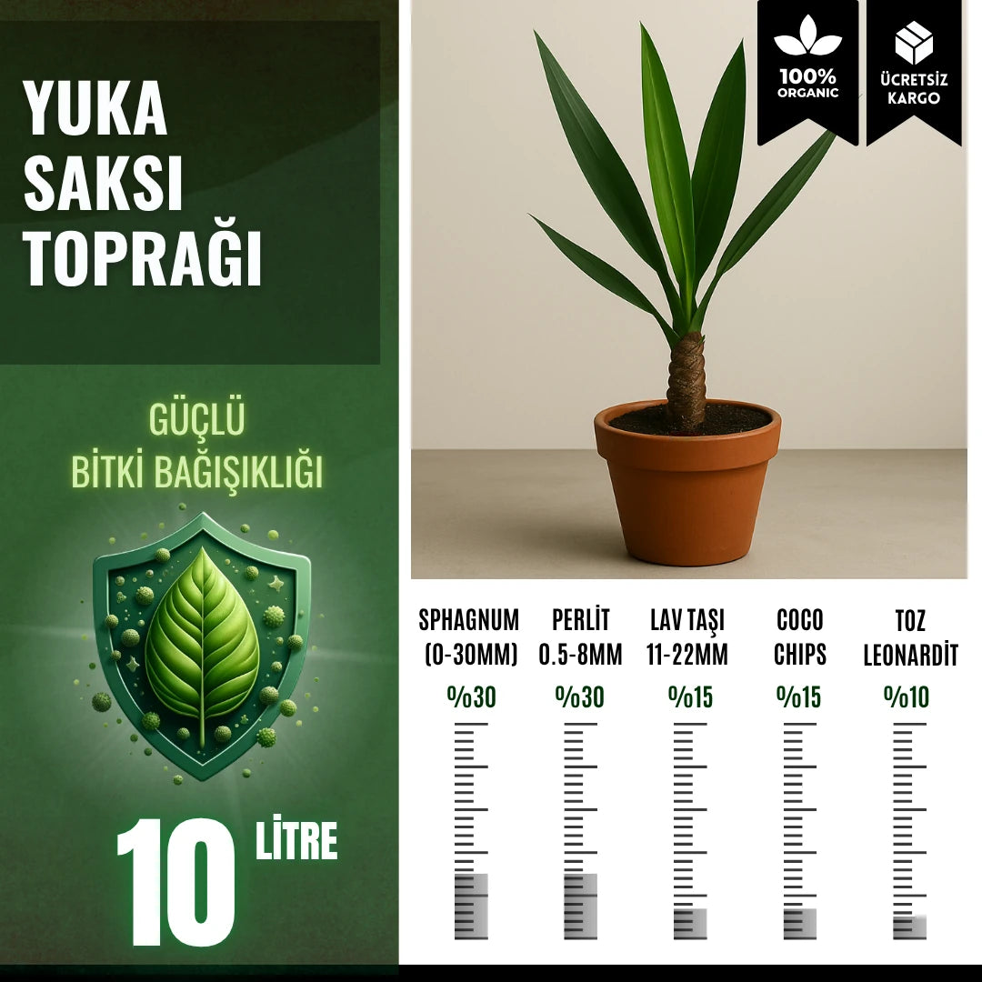 Yuka (Yucca) için özel toprak karışımı – iri taneli yüksek drenajlı paket