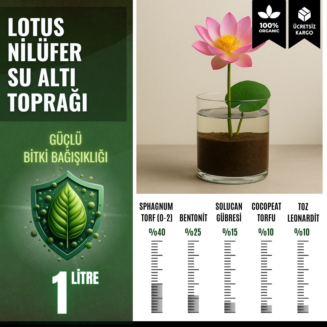 Lotus çiçeği (nilüfer) için su altı torf karışımı – bentonitli çamur kıvamında ortam