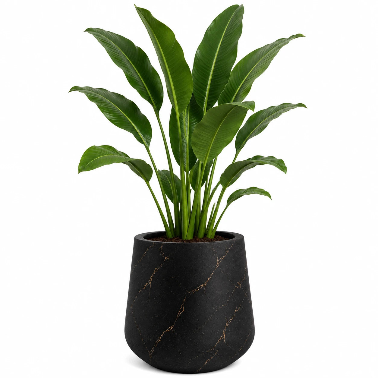 Dekoratif Lale Fiber Saksı 46 × 45 cm