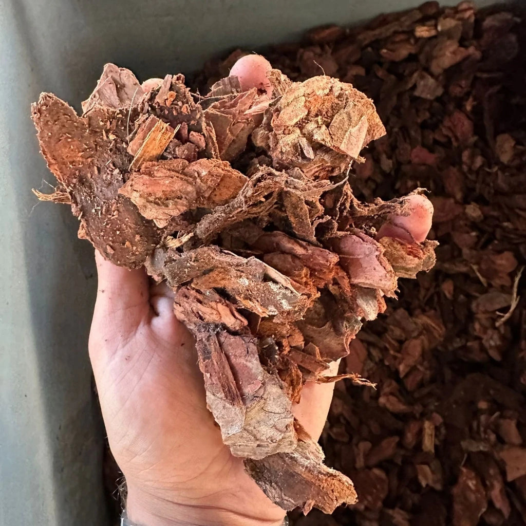 Organik Çam Kabuğu Orkide Toprağı – 10 Litre (4-7cm)
