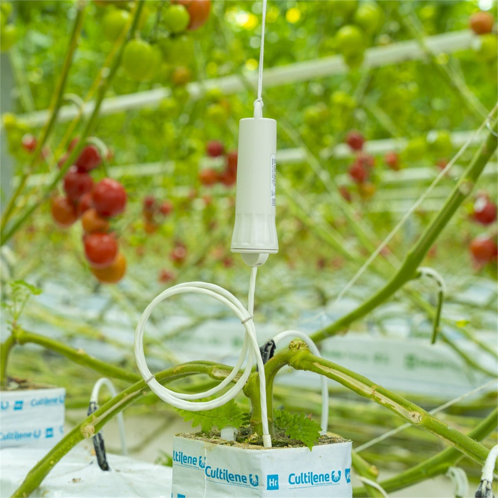 Aranet T-Probe Kablolu Problu Kablosuz Sıcaklık Sensörü – Toprak, Sıvı ve Yüzey İçin, 5 m