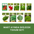 Mart ayında ekilecek tohum seti kapağı: beyaz zeminde dokuz paket — Nantes havuç, iri kırmızı turp, tere