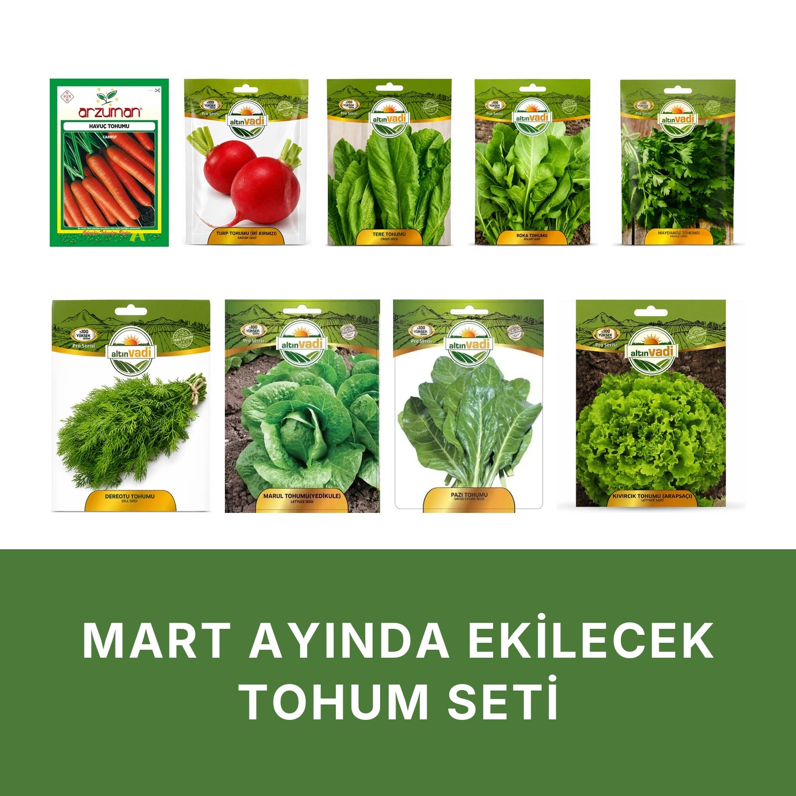 Mart ayında ekilecek tohum seti kapağı: beyaz zeminde dokuz paket — Nantes havuç, iri kırmızı turp, tere