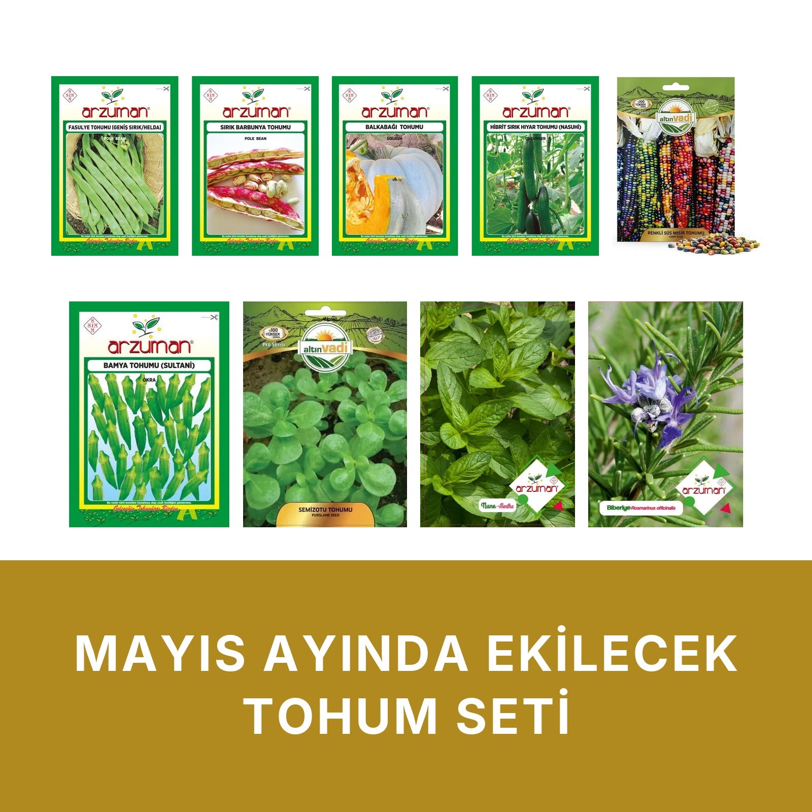 Mayıs ayında ekilecek tohum seti kapağı: beyaz zeminde dokuz paket — Helda sırık fasulye, sırık barbunya, bal kabağı