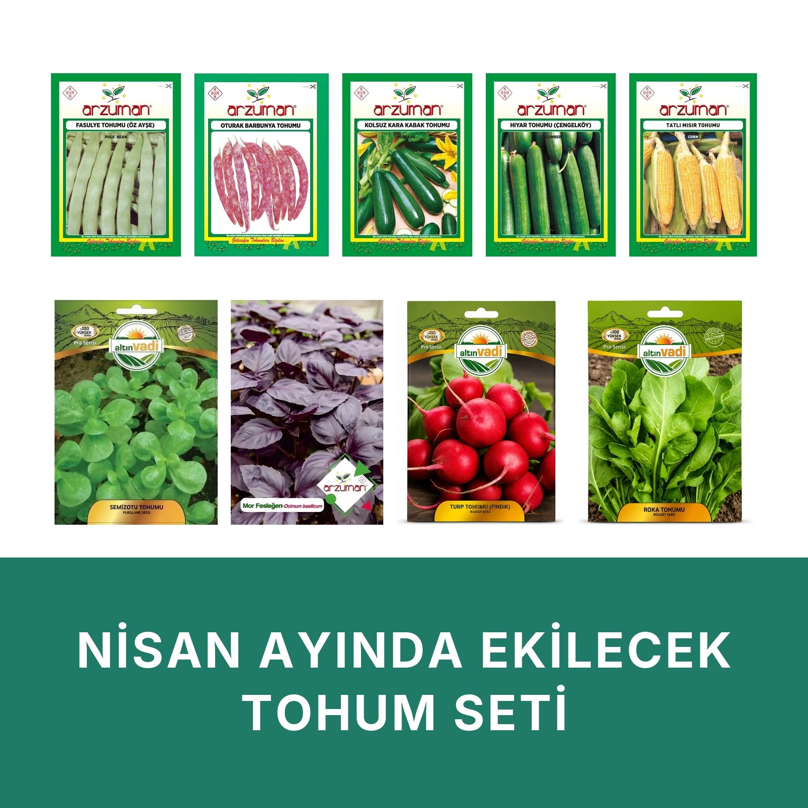 Nisan ayında ekilecek tohum seti kapağı: beyaz zeminde dokuz paket — Öz Ayşe fasulye, oturak barbunya, kolsuz kara kabak