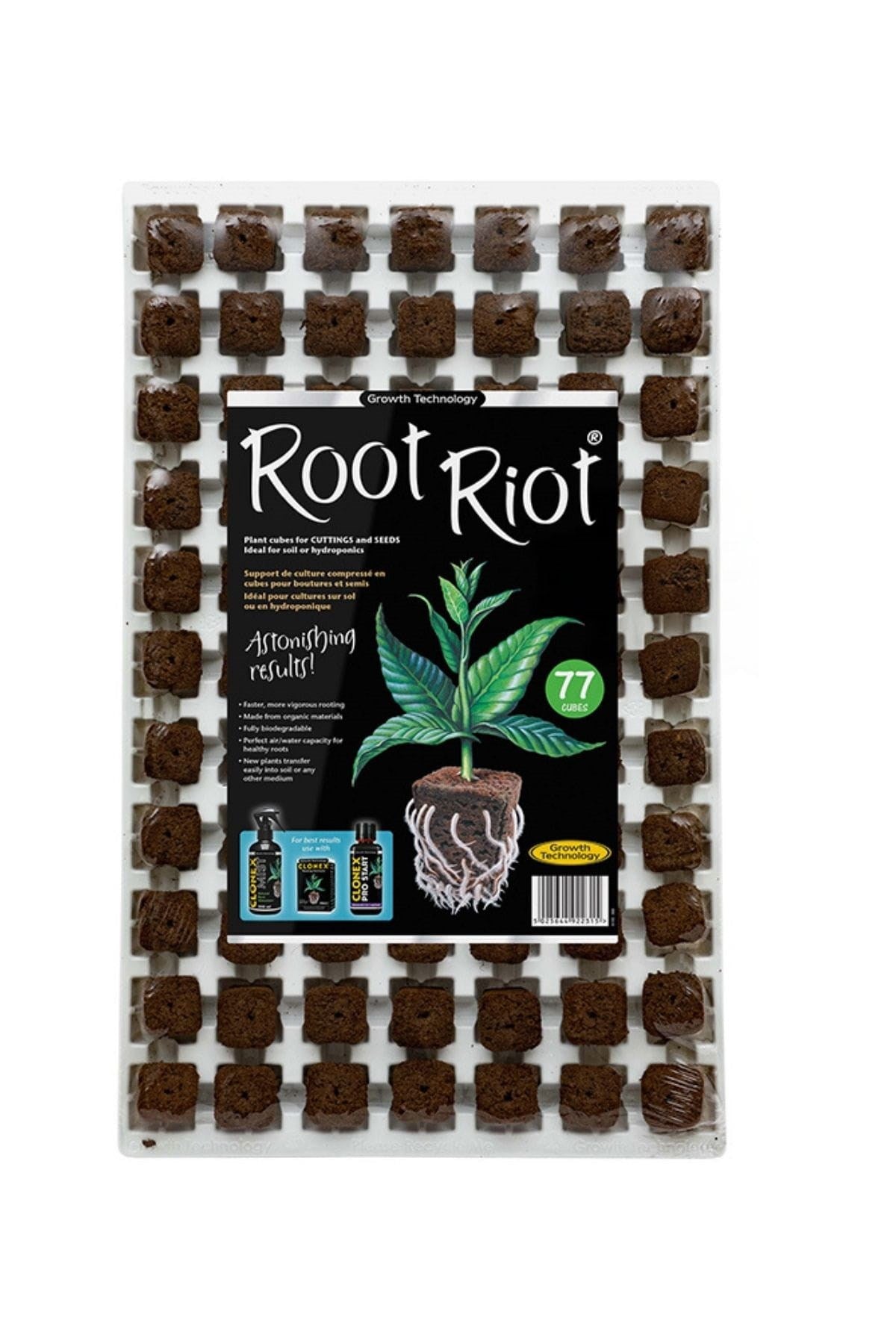 Root Riot 77 viyol – siyah taşıyıcı tepsi içinde sıralanmış kahverengi organik köklendirme küpleri