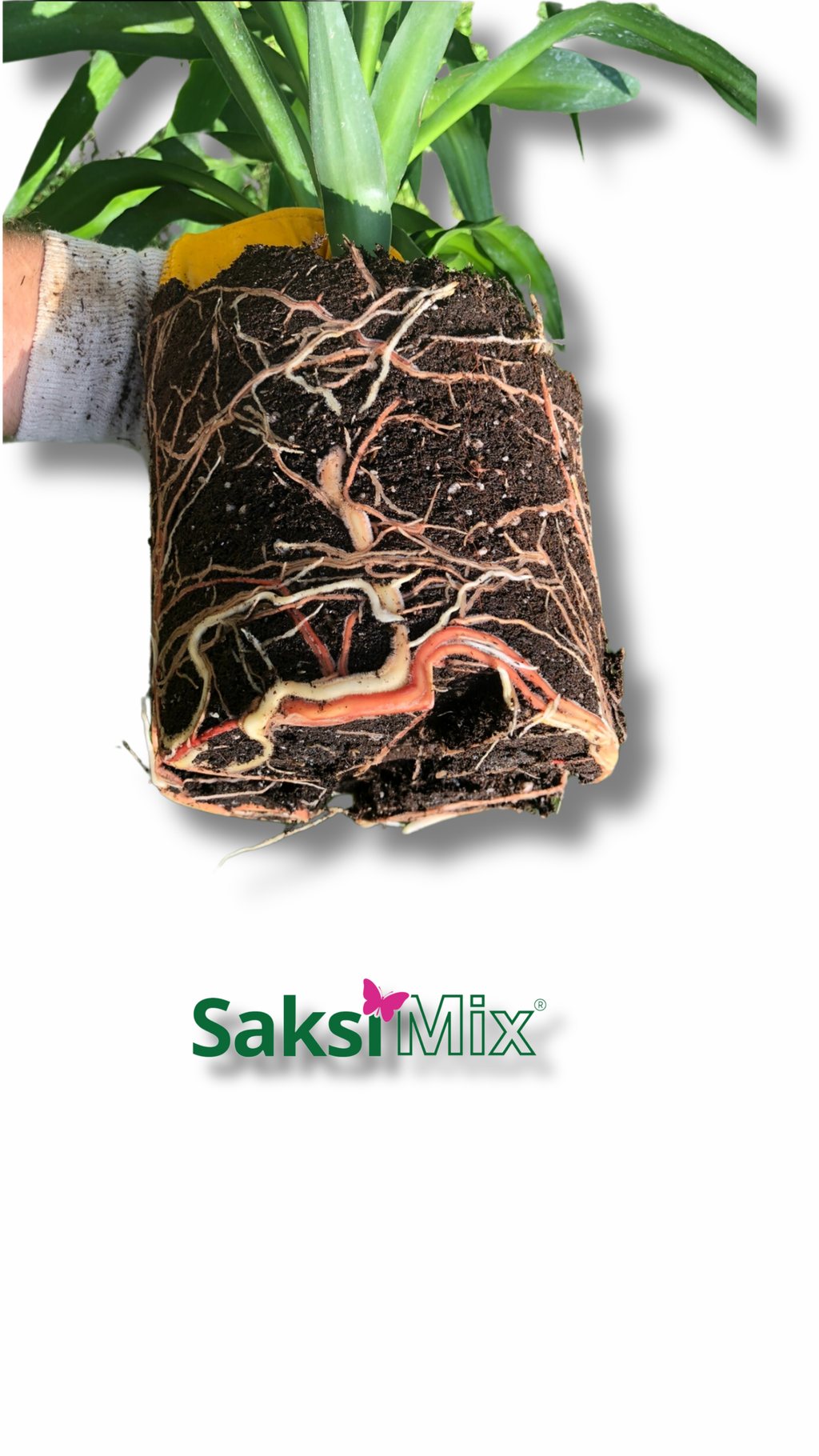 Balkon ve Bahçe Saksıları İçin Gübreli Torf Harcı Saksı Mix Dış Mekân – 20 L veya 40 L