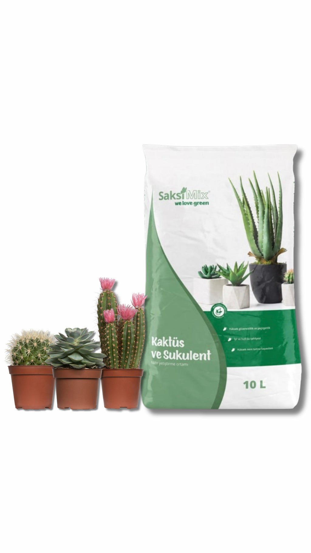 Suyu Hızla Süzen Kaktüs ve Sukulent Harcı Saksı Mix – 10 Litre, Volkanik Taneli, Gübreli
