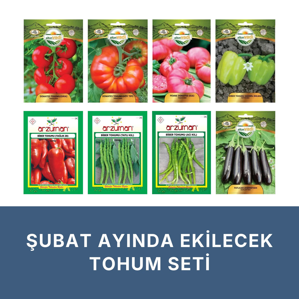 Şubat ayında ekilecek tohum seti kapağı: beyaz zeminde sekiz paket — sırık domates, köy tipi domates, pembe domates