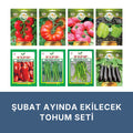 Şubat ayında ekilecek tohum seti kapağı: beyaz zeminde sekiz paket — sırık domates, köy tipi domates, pembe domates