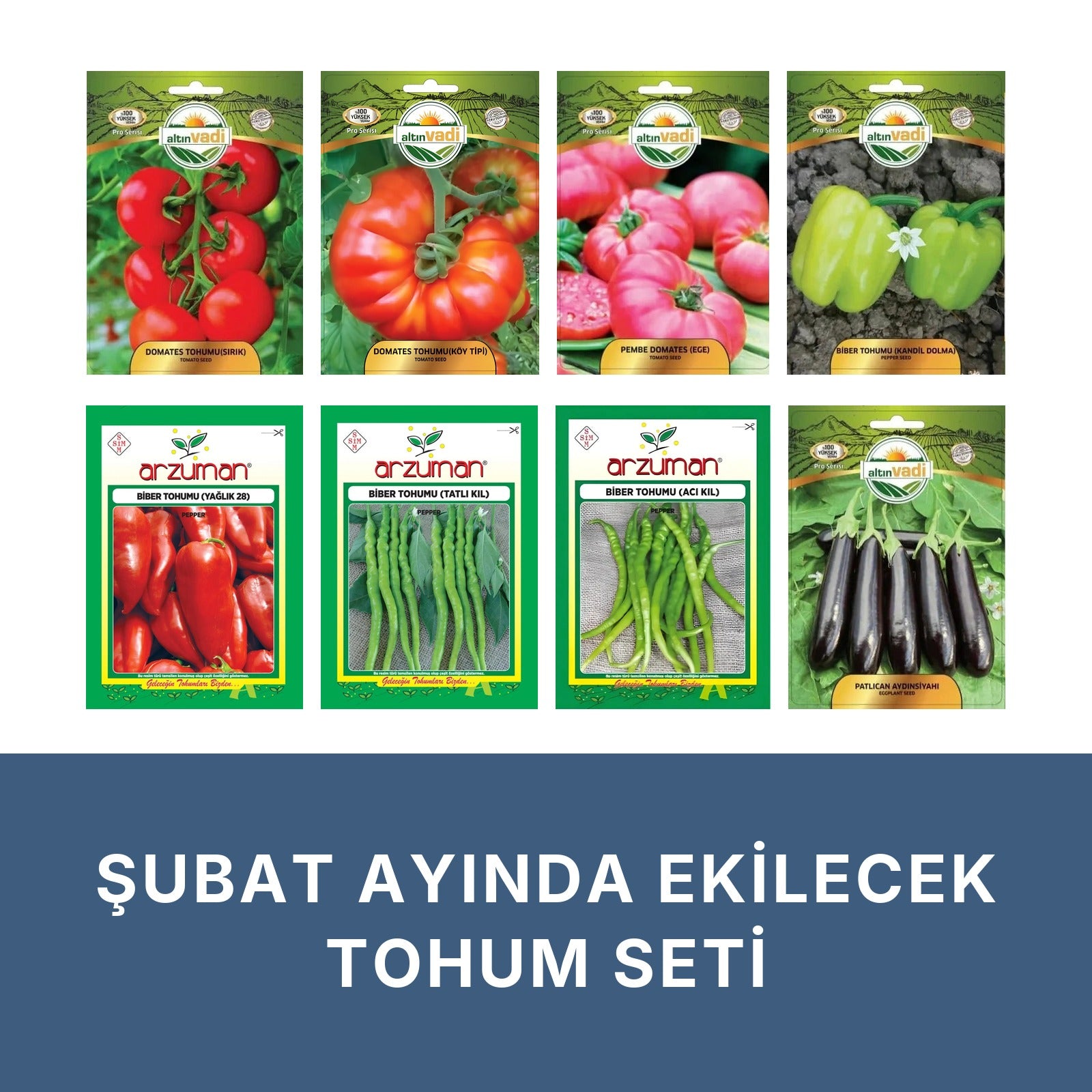 Şubat ayında ekilecek tohum seti kapağı: beyaz zeminde sekiz paket — sırık domates, köy tipi domates, pembe domates
