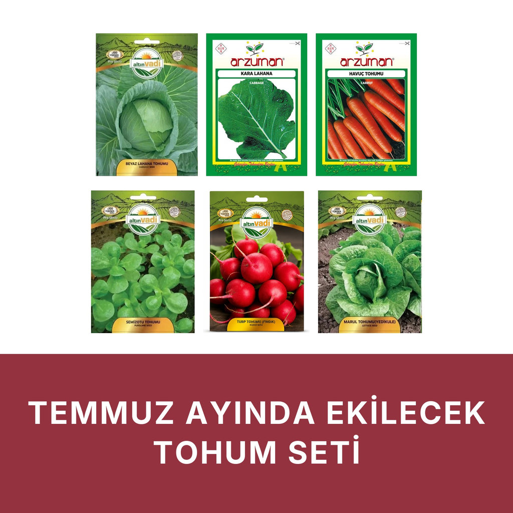 Temmuz ayında ekilecek tohum seti kapağı: beyaz zeminde altı paket — beyaz lahana, karalahana, Nantes havuç, semizotu