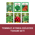Temmuz ayında ekilecek tohum seti kapağı: beyaz zeminde altı paket — beyaz lahana, karalahana, Nantes havuç, semizotu