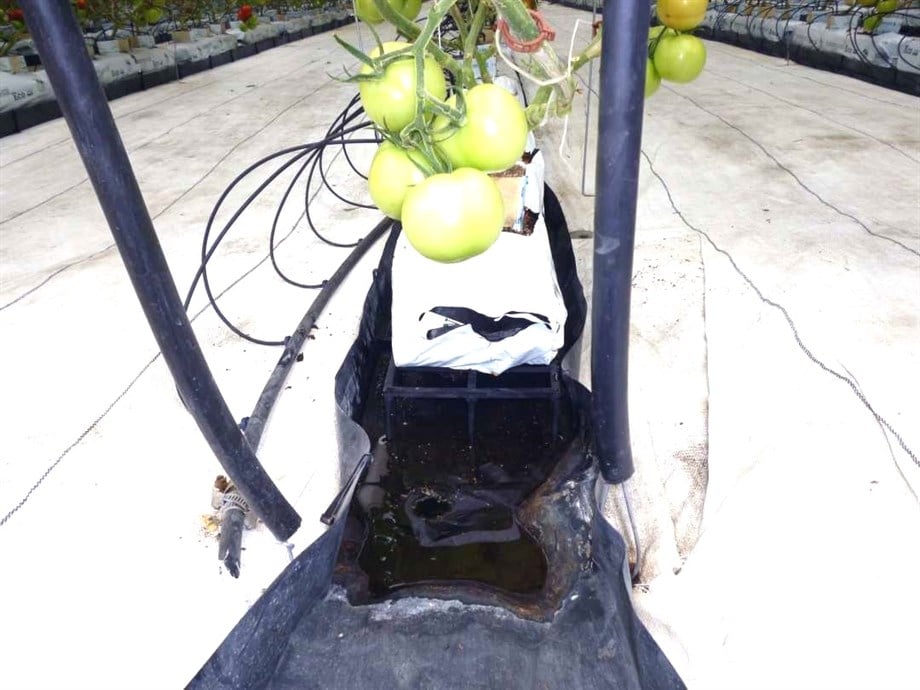 Izgaralı PP Drenaj Oluğu JH Hydroponic – Substrat Torbası Hattı İçin, Metre