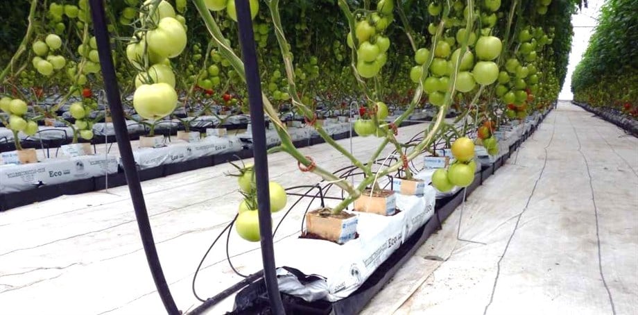 Izgaralı PP Drenaj Oluğu JH Hydroponic – Substrat Torbası Hattı İçin, Metre