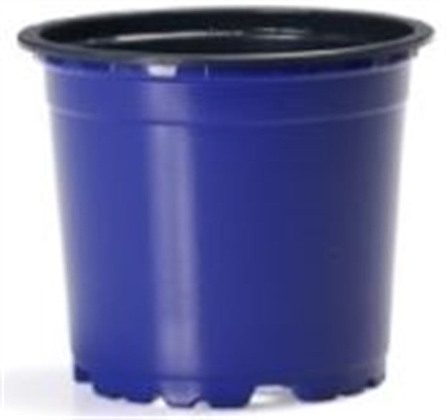 Pöppelmann Teku VCG 10,5 Renkli Yuvarlak Saksı – 0,46 L, Profil Tabanlı, 30 Adet