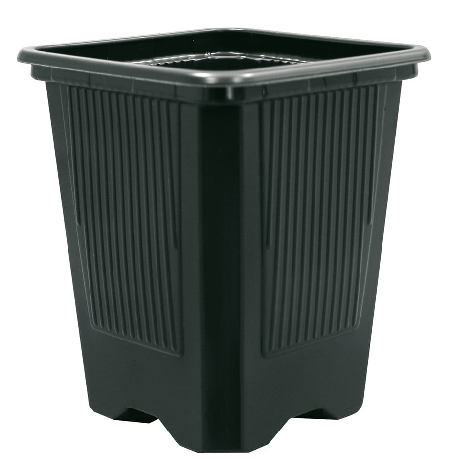Siyah Teku VQB 8 Kare Fide Saksısı – 8 cm Kenar, 0,31 Litre, Termoform, 50 Adet