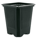 Siyah Teku VQB 8 Kare Fide Saksısı – 8 cm Kenar, 0,31 Litre, Termoform, 50 Adet